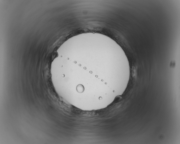 X0000111610915200908141249