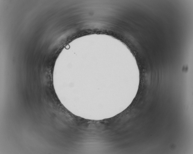 X0000111610918200908141250