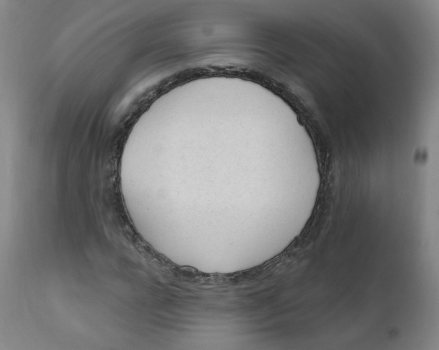 X0000111610920200908141250