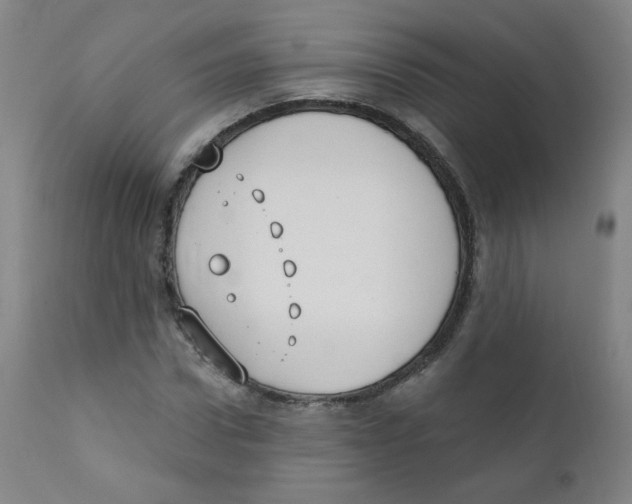 X0000111610922200908141250