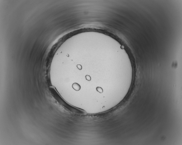 X0000111610923200908141250