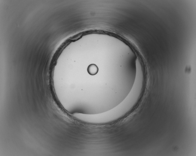 X0000111610924200908141250