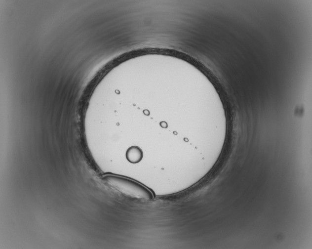 X0000111610926200908141250