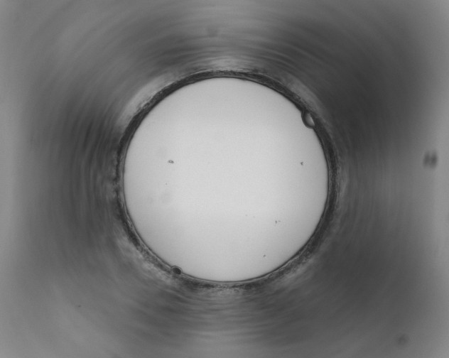 X0000111610930200908141250