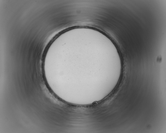 X0000111610932200908141250