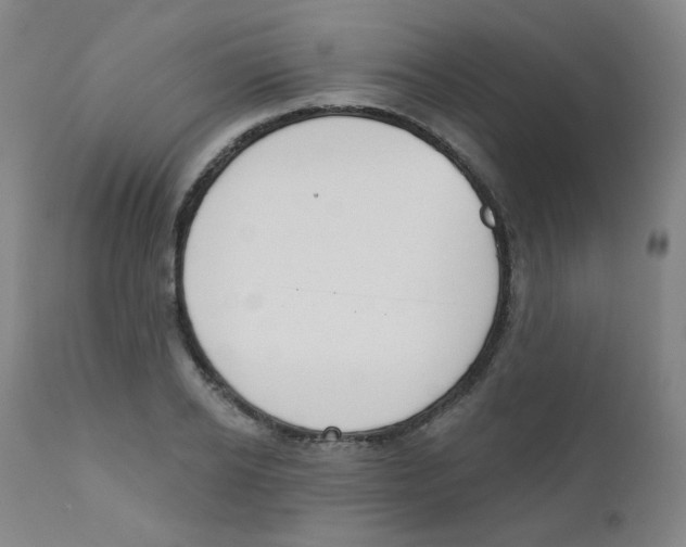 X0000111610934200908141250