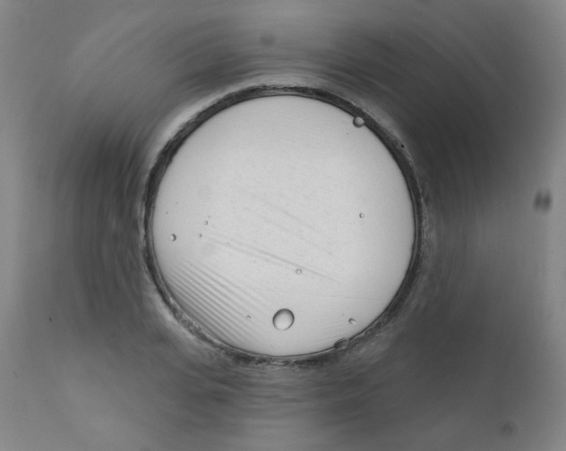 X0000111610935200908141250