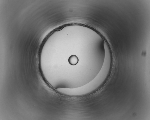 X0000111610936200908141250