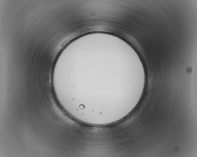 X0000111610938200908141250