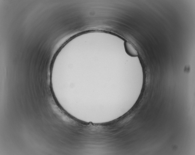 X0000111610940200908141250