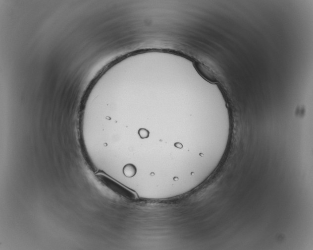 X0000111610942200908141250