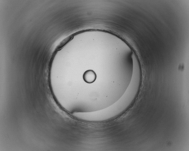 X0000111610944200908141250