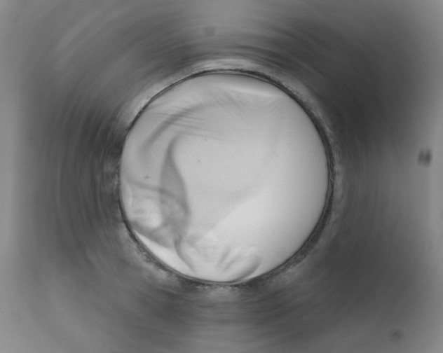 X0000111610945200908141250