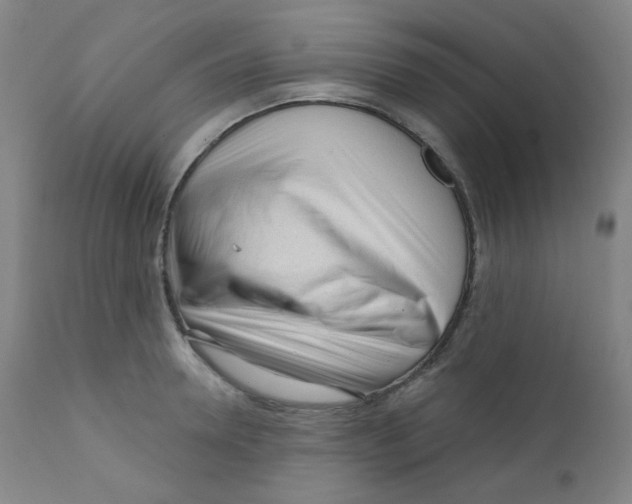 X0000111610946200908141250
