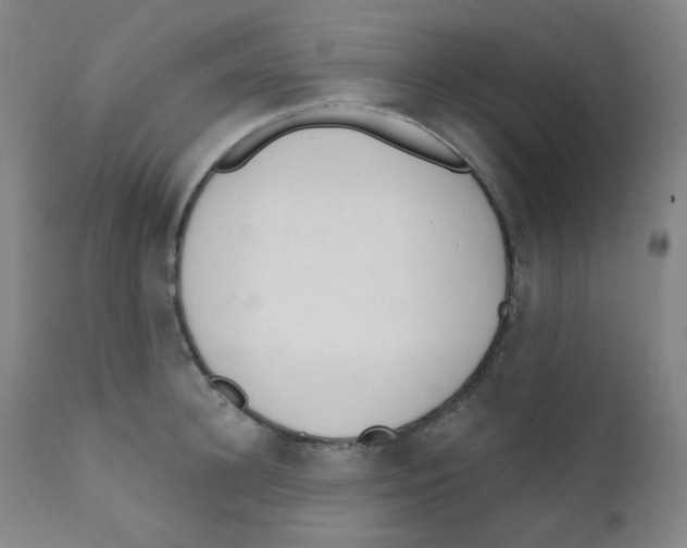 X0000111610948200908141250