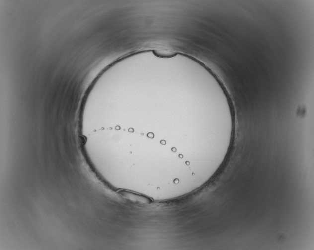 X0000111610949200908141250