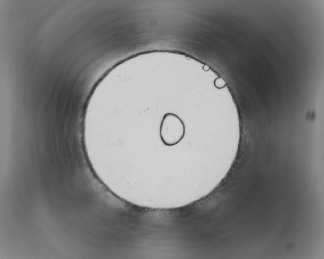 X0000111610950200908141250