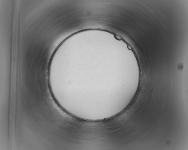 X0000111610951200908141250