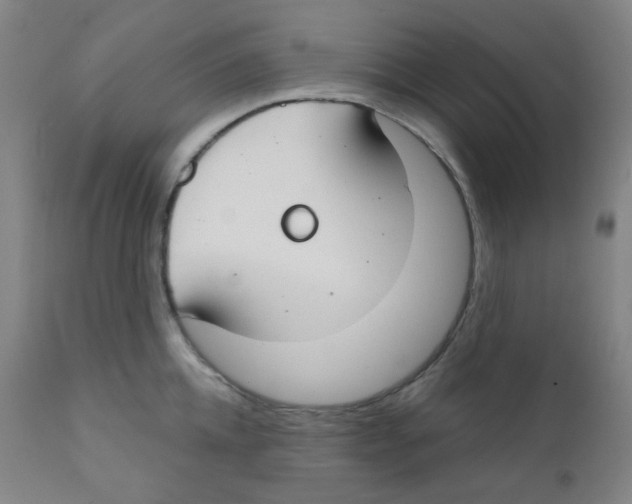 X0000111610952200908141250