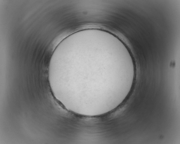 X0000111610953200908141250