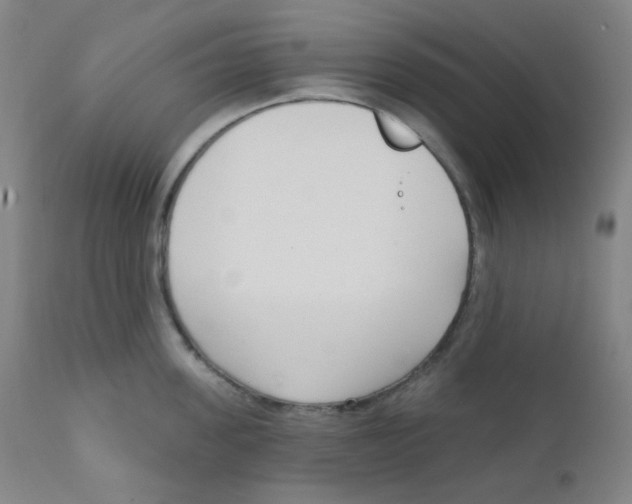 X0000111610955200908141250