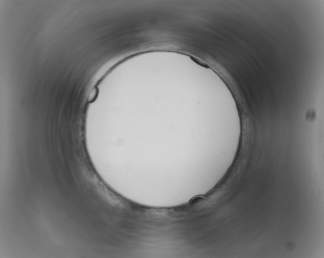 X0000111610956200908141250