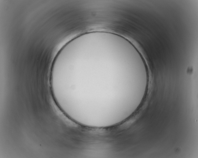 X0000111610957200908141250