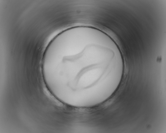 X0000111610958200908141250