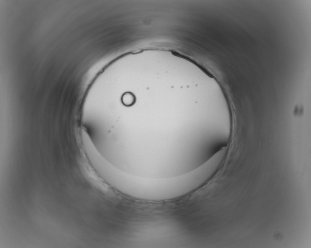 X0000111610960200908141250