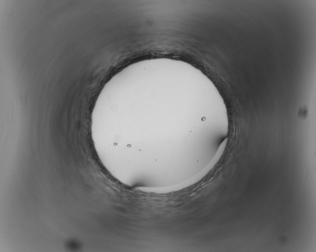 X0000111610961200908141249