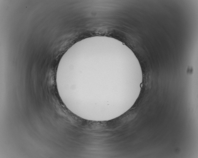 X0000111610962200908141249