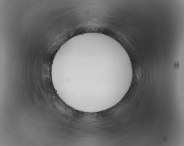 X0000111610964200908141249