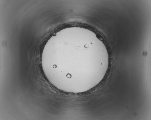 X0000111610965200908141249