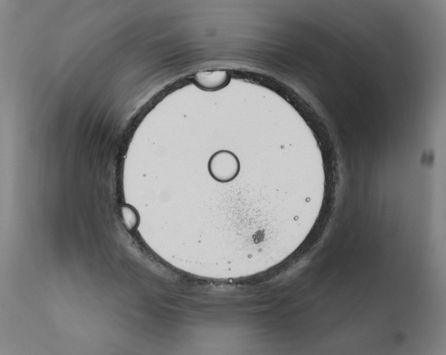 X0000111610969200908141249