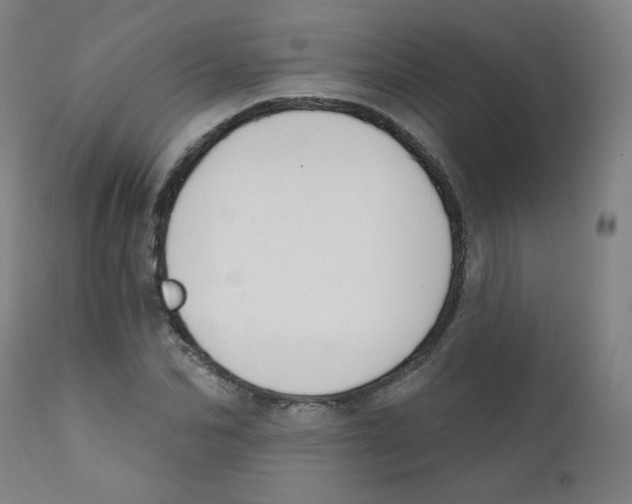 X0000111610974200908141249