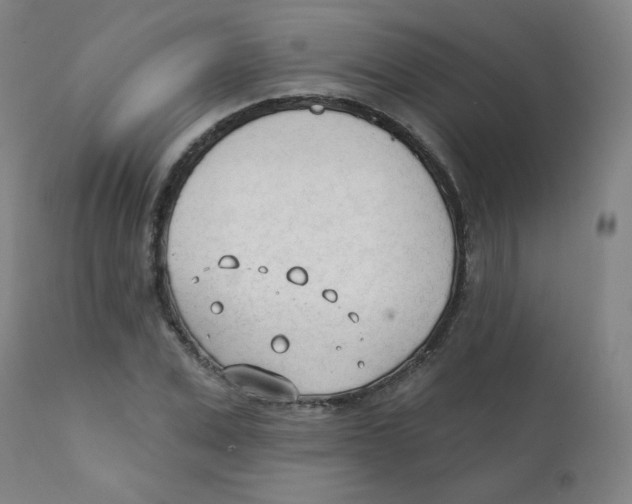 X0000111610975200908141249