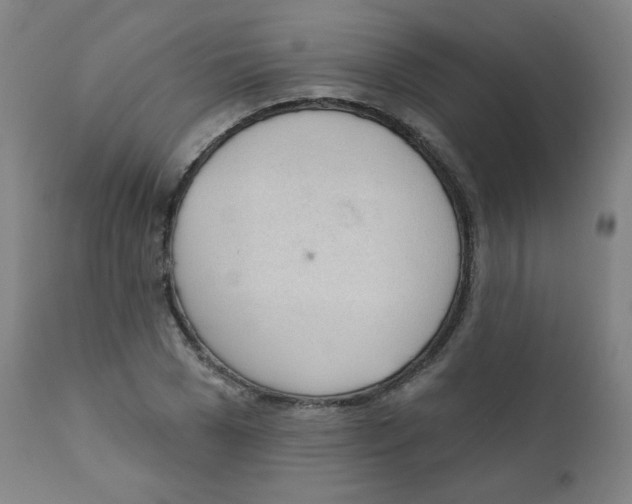 X0000111610977200908141249