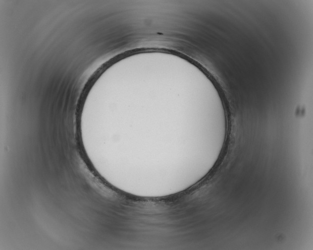 X0000111610980200908141249