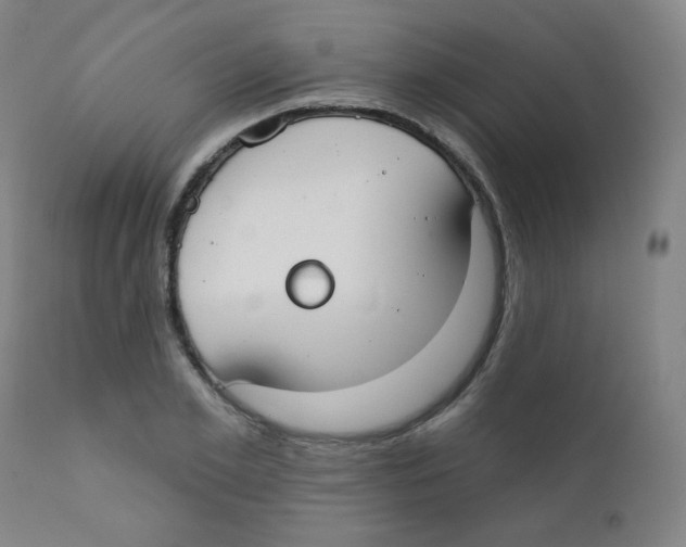X0000111610981200908141249