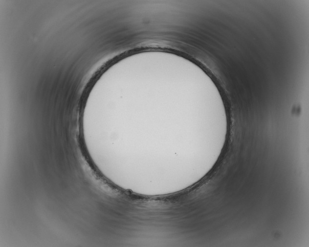 X0000111610984200908141249