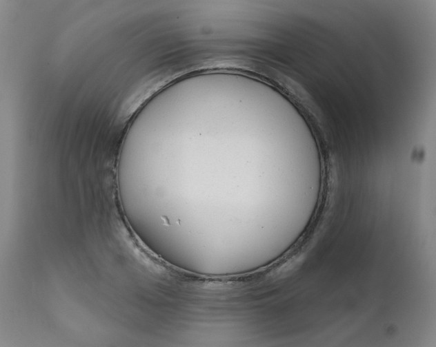 X0000111610985200908141249
