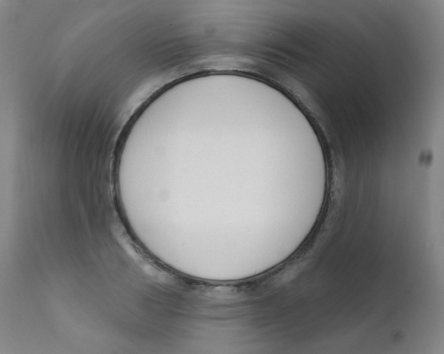 X0000111610986200908141249
