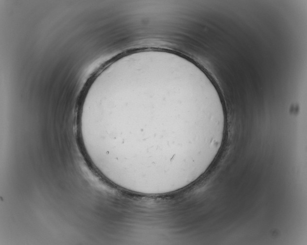 X0000111610987200908141249