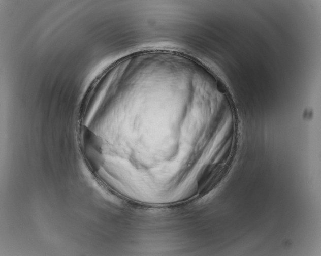 X0000111610989200908141249