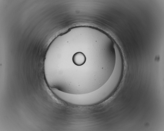 X0000111610993200908141249