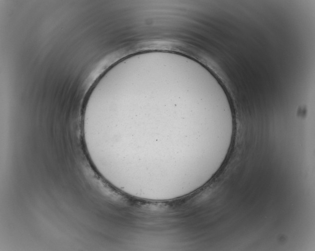X0000111610994200908141249