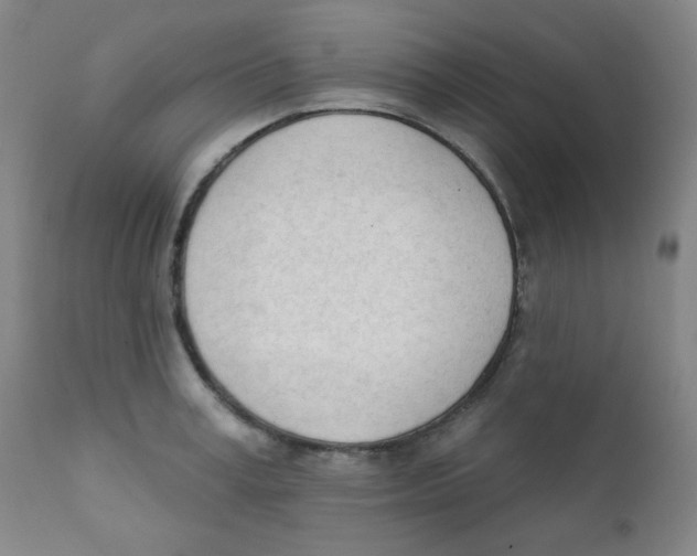 X0000111610995200908141249