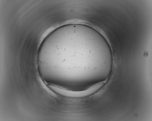 X0000111610997200908141249