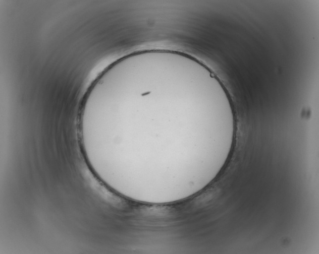 X0000111610998200908141249
