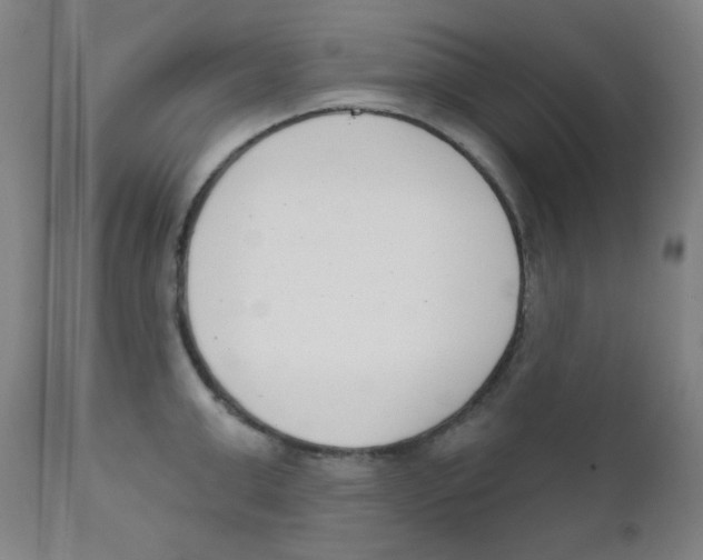 X0000111610999200908141249